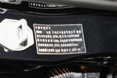 2025款 探迹四驱自动版 柴油-外观-图片-有驾