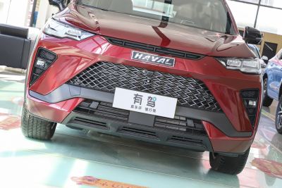 2022款 1.5T DHT悦跑版-外观-图片-有驾