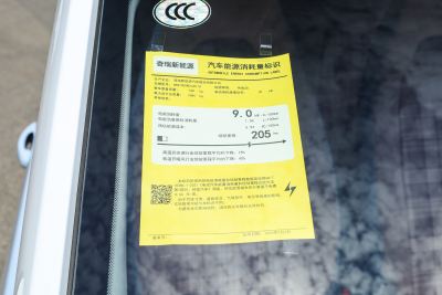 2025款 205km 元气版-外观-图片-有驾