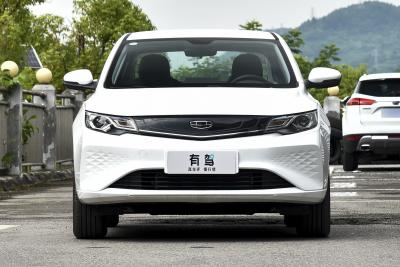 2022款 EV Pro 出租版 磷酸铁锂-外观-图片-有驾