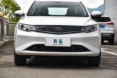 2022款 EV Pro 出租版 磷酸铁锂-外观-图片-有驾