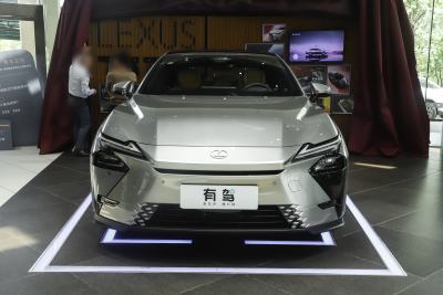 2026款 300h 基本型-外观-图片-有驾