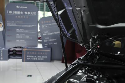 2026款 300h 基本型-外观-图片-有驾