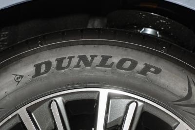 2026款 300h 基本型-外观-图片-有驾