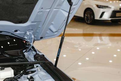 2026款 300h 基本型-外观-图片-有驾