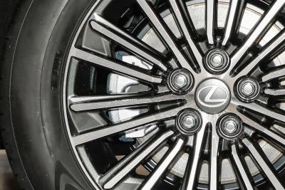 2026款 300h 基本型-外观-图片-有驾