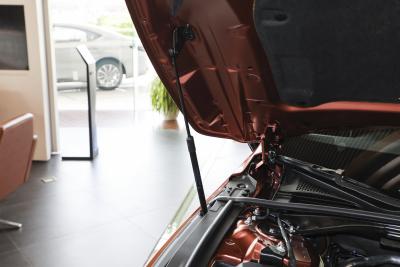 2026款 300h 基本型-外观-图片-有驾