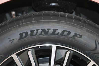 2026款 300h 基本型-外观-图片-有驾