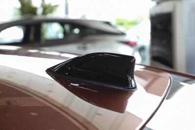 2026款 300h 基本型-外观-图片-有驾