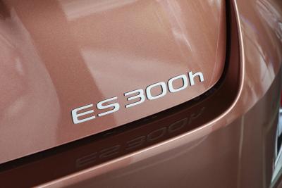 2026款 300h 基本型-外观-图片-有驾