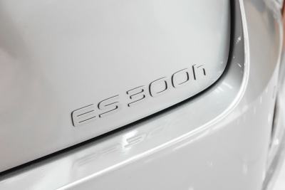 2026款 300h 基本型-外观-图片-有驾