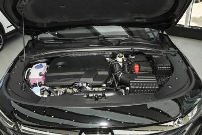 2025款 2.0T DCT驰-外观-图片-有驾