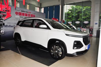 2021款 全球车周年纪念版 1.5T CVT尊贵互联型 7座-外观-图片-有驾