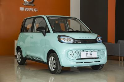 2022款 酷多多 15.5kWh-外观-图片-有驾