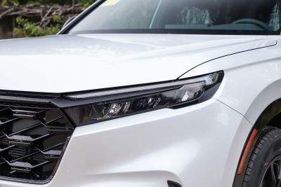 2026款 全球30年荣耀款 2.0L e:HEV 两驱智睿版-外观-图片-有驾