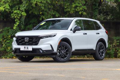 2026款 全球30年荣耀款 2.0L e:HEV 两驱智睿版-外观-图片-有驾