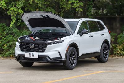 2026款 全球30年荣耀款 2.0L e:HEV 两驱智睿版-外观-图片-有驾