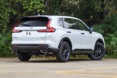 2026款 全球30年荣耀款 2.0L e:HEV 两驱智睿版-外观-图片-有驾