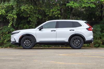 2026款 全球30年荣耀款 2.0L e:HEV 两驱智睿版-外观-图片-有驾