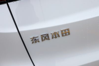 2026款 全球30年荣耀款 2.0L e:HEV 两驱智睿版-外观-图片-有驾