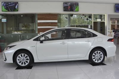 2021款 双擎 1.8L E-CVT精英版-外观-图片-有驾