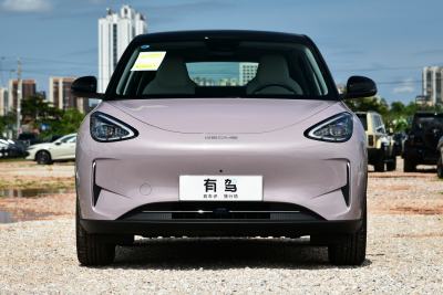 2026款 410km 探索版-外观-图片-有驾