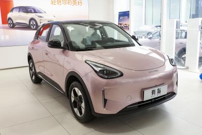 2026款 410km 探索版-外观-图片-有驾