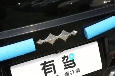 2025款 智勇豪华版 6座-外观-图片-有驾