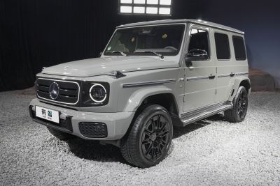 2025款 G580 首发特别版-外观-图片-有驾