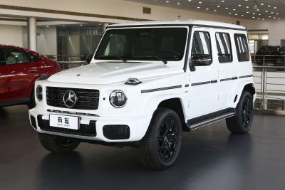 2025款 G580 首发特别版-外观-图片-有驾