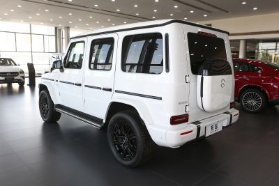 2025款 G580 首发特别版-外观-图片-有驾