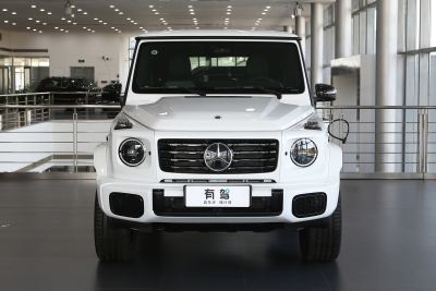 2025款 G580 首发特别版-外观-图片-有驾