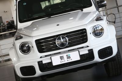 2025款 G580 首发特别版-外观-图片-有驾