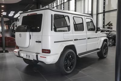 2025款 G580 首发特别版-外观-图片-有驾