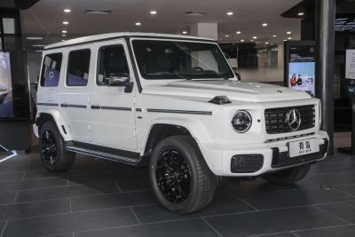 2025款 G580 首发特别版-外观-图片-有驾