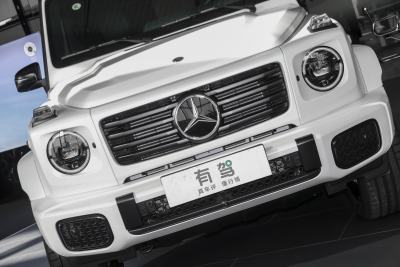 2025款 G580 首发特别版-外观-图片-有驾