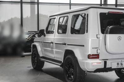 2025款 G580 首发特别版-外观-图片-有驾