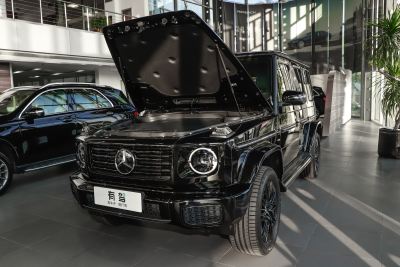 2025款 G580 首发特别版-外观-图片-有驾
