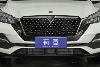 2021款 260T 自动悦行版-外观-图片-有驾