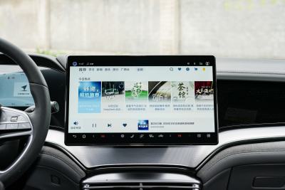 2025款 智驾版 DM-i 1.5L 125km 尊贵型-内饰-图片-有驾