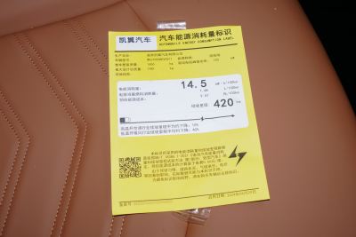 2024款 悦行版-外观-图片-有驾
