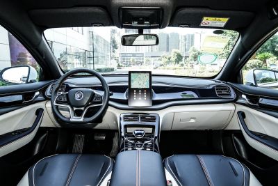 2021款 EV 510KM 出行版-内饰-图片-有驾
