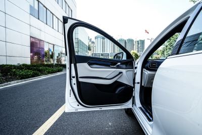 2021款 EV 510KM 出行版-内饰-图片-有驾