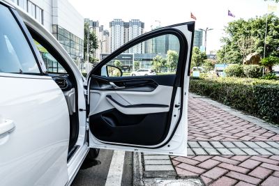 2021款 EV 510KM 出行版-内饰-图片-有驾