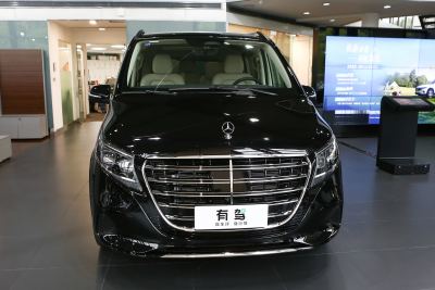 2024款 V 300 L 长轴距豪华版-外观-图片-有驾