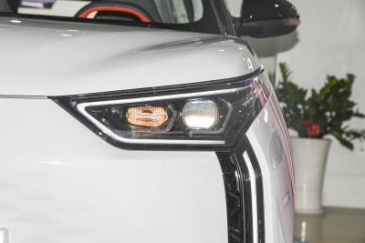 2022款 301km 魔兽版 三元锂 30.6kWh-外观-图片-有驾