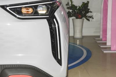 2022款 301km 魔兽版 三元锂 30.6kWh-外观-图片-有驾