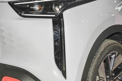 2022款 301km 魔兽版 三元锂 30.6kWh-外观-图片-有驾