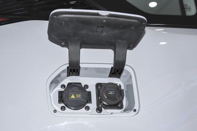 2022款 301km 魔兽版 三元锂 30.6kWh-外观-图片-有驾