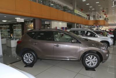 2013款 3.5L CVT 荣耀版-外观-图片-有驾